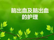 脑出血及脑出血护理PPT课件