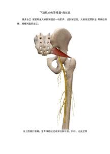 下肢肌肉传导疼痛