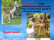 高中英語 module 3 《the qin tomb and the terracotta warriors》課件 外研選修9