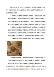 心律失常危害