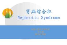 肾病综合征24418