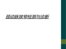 颈动脉狭窄检测与诊断