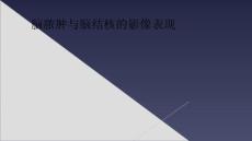 脑脓肿与脑结核的影像表现