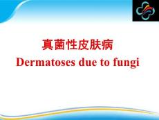 皮肤病学教学课件：真菌性皮肤病 1