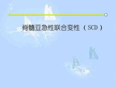 脊髓亚急性联合变性
