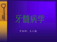 牙体牙髓病学牙髓病的诊断临床表现及诊断