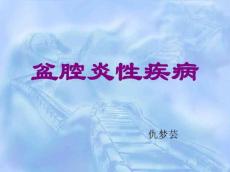 课件(盆腔炎