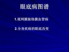 眼底病图谱课件