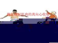 踢足球时肌肉的离向心收缩