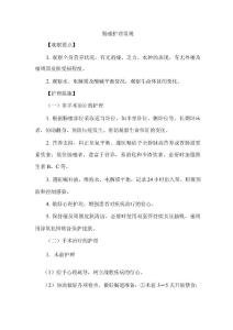 肠瘘护理常规