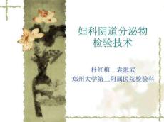 妇科阴道分泌物检验技术