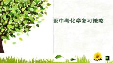 淺談中考化學復習策略