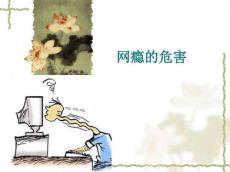 网瘾的危害课件