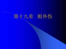 眼外伤11383