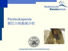 猫泛白细胞减少症