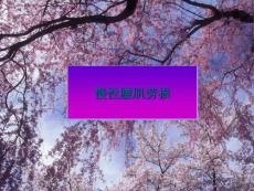 慢性腰肌劳损