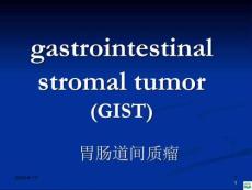 《胃肠道间质瘤》ppt课件