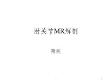 肘关节MR解剖