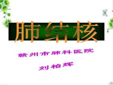 肺结核教程