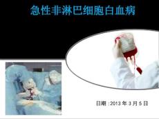急性非淋巴细胞白血病PPT课件