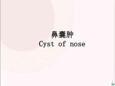 鼻囊肿CyPPT课件2