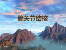 髋关节结核CT表现PPT课件