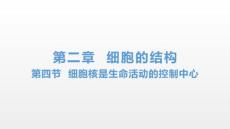 细胞核是生命活动的控制中心课件-高一上学期生物浙科版必修1