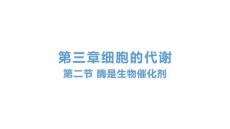 酶是生物催化剂-高一上学期生物浙科版必修1