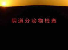 阴道分泌物检查ppt课件