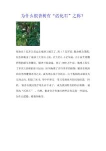 為什么銀杏樹有活化石稱號