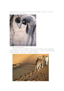 你所不知道的動物糞便功效