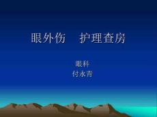 眼外伤----护理查房