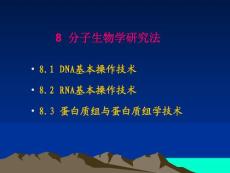 8 分子生物學研究技術簡介