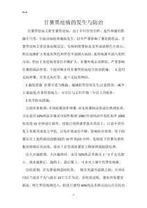甘薯黑痣病的发生与防治