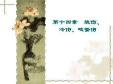 烧伤、冷伤、咬螫伤