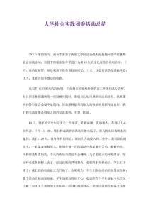 大學社會實踐團委活動總結精選