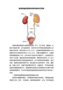 医源性输尿管损伤和狭窄的诊疗现状