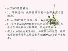 202X年线粒体脑肌病介绍