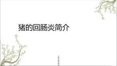 猪回肠炎猪回肠炎简介