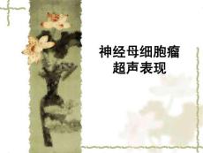 神经母细胞瘤超声表现