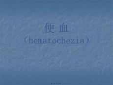 便血医学PPT