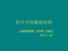 肘关节解剖结构