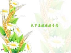 克罗恩病疾病查房
