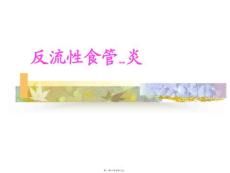 反流性食管炎PPT课件