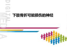 下肢骨折可能损伤的神经