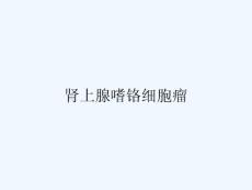 肾上腺嗜铬细胞瘤ppt