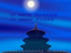 肾母细胞瘤与神经母细胞瘤ppt课件
