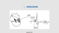预激综合征教程PPT课件