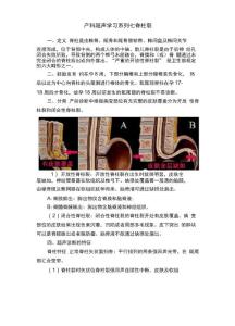 产科超声学习系列七脊柱裂
