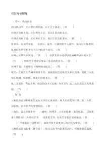 肩部疼痛图解